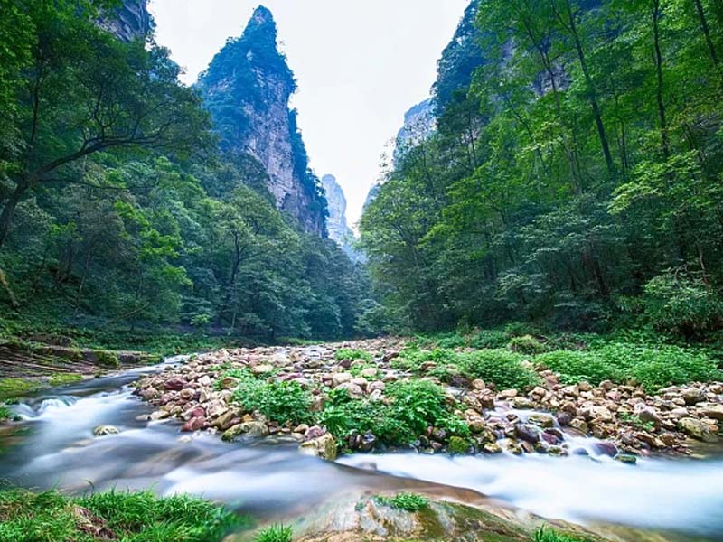 花一分钟看完这篇张家界5天4晚旅游攻略，能让你避很多坑(图4)